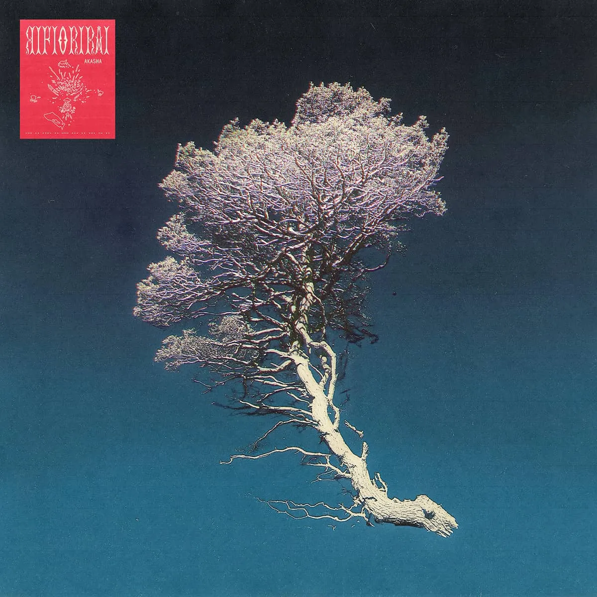 Cover del disco Rifiorirai